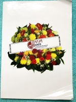 ►หมอพิชญ์ไบโอบีม◄ BIO 8736 รวมข้อสอบวิชาชีววิทยา สทศ.ปี 55-58 เฉลยครบทุกข้อ จดครบทุกหน้า ลายมือจดเทพ จดสีสันสวยงาม น่าอ่านทุกหน้า