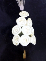 หนังสือหมอพิชญ์ ข้อสอบ สทศ.ชีววิทยาปี 55-56