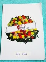 ►หมอพิชญ์ไบโอบีม◄ BIO 8121 รวมข้อสอบวิชาชีววิทยา สทศ.ปี 55-58 เฉลยครบทุกข้อ จดครบทุกหน้า ลายมือจดเทพ สวยงาม น่าอ่านทุกหน้า