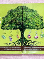 ►สรุปเนื้อหาชีววิทยา◄ หนังสือออนดีมานด์ Bio Map ชีววิทยาพี่วิเวียน เล่ม 1+2 ครบเซ็ท สรุปเนื้อหาและสูตรสำคัญของวิชาชีววิทยา ม.ปลาย เนื้อหาพิมพ์สมบูรณ์ทั้งเล่ม พี่วิเวียนสรุปเนื้อหากระชับ บางหัวข้อสรุปเนื้อหาเป็น Mind Mapping ทำให้อ่านเข้าใจง่าย หนังสือพิมพ