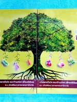 ►ออนดีมานด์◄ Bio Map ชีววิทยาพี่วิเวียน เล่ม 1+2 ครบเซ็ท ในหนังสือมีสรุปเนื้อหาและสูตรสำคัญของวิชาชีววิทยา ม.ปลาย หนังสือใหม่เอี่ยม เนื้อหาพิมพ์สมบูรณ์ทั้งเล่ม พี่วิเวียนสรุปเนื้อหากระชับ บางหัวข้อสรุปเนื้อหาเป็น Mind Mapping ทำให้