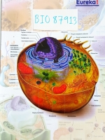 [ยูเรก้า] BIO 87913 อ.เอกฤทธิ์ ชีววิทยา ม.4 หลักสูตร A