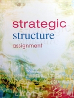 Strategic Structure Assignment ครูพี่แนน