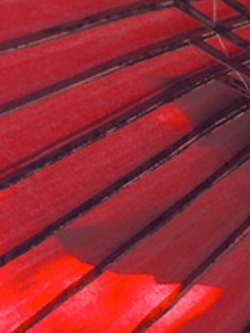 ภาพทั่วไป