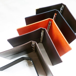 แฟ้มห่วง (Ring Binder Folder)