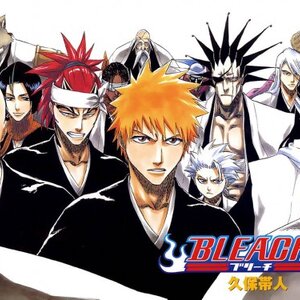 โมเดลบลีช/Bleach anime cartoon