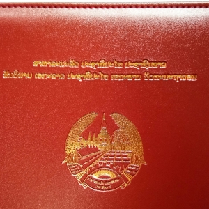 หนังเทียม Exotic Leather B