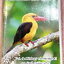 ►หมอพิชญ์ Biobeam◄ หนังสือเรียนชีววิทยา คอร์ส ICU ไอซียู ครบเซ็ท 8 เล่ม พร้อมไฟล์จดเนื้อหาครบทั้งเซ็ทแบบละเอียดมากครบทั้ง 8 เล่ม และไฟล์ชีทเสริม ในหนังสือมีจดบางหน้า จดละเอียด มีวาดภาพประกอบเนื้อหาเยอะมาก แบบฝึกหัดประจำบทมีจดเฉลยบางข้อ เฉพาะเล่ม 8 มีเฉลยข