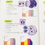 ►Bio Map Mini◄ ออนดีมานด์ พี่วิเวียน สรุปชีววิทยาฉบับพกพา มีสรุปเนื้อหาสำคัญ หนังสือพิมพ์สีทั้งเล่ม มีลำดับหัวข้อที่ชอบออกสอบบ่อยๆในข้อสอบ PAT2 มีเทคนิคลัดเยอะมาก หนังสือตีพิมพ์สมบูรณ์ทั้งเล่ม ในหนังสือมีเขียนเล็กน้อย