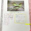 ►หมอพิชญ์ Biobeam◄ หนังสือกวดวิชาปี 2566 หมอพิชญ์ไบโอบีม ICU ไอซียู ครบเซ็ท 8 เล่ม สรุปเนื้อหาทั้งหมดในระดับชั้น ม.ปลาย ม.4-5-6 เนื้อหายากลึกถึงเตรียมตัวสอบเข้ามหาวิทยาลัย สอบแพทย์ TPAT 1 มีโจทย์ประจำบท ในหนังสือจดครบเกือบทั้งเล่ม จดละเอียด โจทย์มีจดเฉลยค