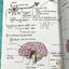 ►หนังสือรุ่นพี่เตรียมอุดม◄ Biology Short Note Form หนังสือสรุปชีววิทยา สรุปย่อๆกระชับให้เห็นภาพรวมของTopic + เนื้อหาทั้งหมดที่ต้องใช้สอบเข้าเตรียมอุดม พิมพ์สีสวยงาม เนื้อหาพิมพ์สมบูรณ์ หนังสือหนา 48 หน้า
