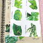►Eureka◄ หนังสือกวดวิชาชีววิทยา ม.ปลาย อ.เอกฤทธิ์ ยูเรก้า + สมุดโน้ตในคอร์สเรียน 1 เล่ม ในหนังสือเน้นภาพสี กราฟ ตาราง และแผนภาพเกี่ยวกับวิชาชีววิทยาในระดับชั้น ม.ปลายรวมทุกบท ส่วนใหญ่ใช้ภาษาอังกฤษ และภาษาละตินประกอบคำอธิบาย หนังสือเล่มหนาใหญ่ มีน้ำหนัก พิ