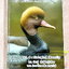 ►หมอพิชญ์ Biobeam◄ หนังสือกวดวิชาปี 2566 หมอพิชญ์ไบโอบีม ICU ไอซียู ครบเซ็ท 8 เล่ม สรุปเนื้อหาทั้งหมดในระดับชั้น ม.ปลาย ม.4-5-6 เนื้อหายากลึกถึงเตรียมตัวสอบเข้ามหาวิทยาลัย สอบแพทย์ TPAT 1 มีโจทย์ประจำบท ในหนังสือจดครบเกือบทั้งเล่ม จดละเอียด โจทย์มีจดเฉลยค