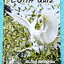 ►หมอพิชญ์ Biobeam◄ Coma Quiz หนังสือตะลุยโจทย์ชีววิทยา ม.ปลาย รวมโจทย์ครบทุกบท มีโจทย์ทั้งหมด 13 ชุด รวมทั้งหมด 535 ข้อ มีจดเฉลยครบเกือบทุกข้อ จดละเอียดด้วยปากกาสีและดินสอ
