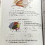 ►สอบเข้ามหิดล◄ หนังสือกวดวิชาวีเบรน We Brain ตะลุยโจทย์ชีววิทยา เพื่อสอบเข้า ร.ร.มหิดลวิทยานุสรณ์ เน้นฝึกทำโจทย์ มีโจทย์ครบทุกเรื่องทุกบท จดครบเกือบทั้งเล่ม จดละเอียดมาก มีจดวิธีวิเคราะห์โจทย์และหลักการทำโจทย์ มีวาดภาพประกอบเนื้อหาหลายหน้า หนังสือพิมม์สีส