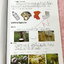►ครูอ๊อบ◄ หนังสือเรียนพิเศษ Kru OBB วิชาวิทยาศาสตร์ Fundamental Science ป.3 เรื่องวัสดุรอบตัวเรา ชีวิตกับธรรมชาติ โลกของพืช โลกของสัตว์ มีสรุปเนื้อหาและโจทย์แบบทดสอบประจำบท จดครบเกือบทั้งเล่ม จดละเอียด