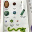 ►Eureka◄ หนังสือกวดวิชาชีววิทยา ม.ปลาย อ.เอกฤทธิ์ ยูเรก้า + สมุดโน้ตในคอร์สเรียน 1 เล่ม ในหนังสือเน้นภาพสี กราฟ ตาราง และแผนภาพเกี่ยวกับวิชาชีววิทยาในระดับชั้น ม.ปลายรวมทุกบท ส่วนใหญ่ใช้ภาษาอังกฤษ และภาษาละตินประกอบคำอธิบาย หนังสือเล่มหนาใหญ่ มีน้ำหนัก พิ