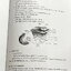 ►หนังสือเรียนชีวะ ม.ต้น◄ หนังสือกวดวิชาหมอพิชญ์ไบโอบีม Fundamental Biology ชีววิทยา ม.ต้น Biobeam สรุปเนื้อหาทุกบทในวิชาวิทยาศาสตร์ชีววิทยาระดับชั้นมัธยมศึกษาตอนต้น เนื้อหายากลึกถึงสอบเข้า ม.4 ร.ร.ดัง จดครบเกือบทั้งเล่ม จดด้วยดินสอและปากกาสีสวยงาม มีวาดรู
