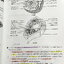 ►หนังสือชีวะเต่าทอง◄ นพ.จิรัสย์ เจนพาณิชย์ (พี่เต๊นท์) Biology For High School Students หนังสือสรุปชีววิทยายอด HIT ที่หลายคนบอกต่อว่าเก็งข้อสอบตรงจุดมากๆ มีเนื้อหาอ่านง่ายรวม 23 บท มีแบบฝึกหัดที่ใช้ได้จริง 1,000 ข้อ ในหนังสือมีเขียนด้วยดินสอ ปากกาและมีรอย