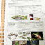 ►สสวท. ป.5◄ หนังสือเรียนพิเศษ อ.บิ๊ก ป.5 สสวท. เล่ม 1-4 มีสรุปเนื้อหาและโจทย์ Test ข้อสอบประจำบท จดครบเกือบทั้งเล่ม จดละเอียด มีบางหน้าเว้นว่างไปบ้างไม่ได้จด หนังสือใส่ปกสันเกลียว เปิดอ่านง่าย