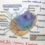 หนังสือ Biobeam ICU Course : Cell and Biochemisty (พร้อมเฉลย)