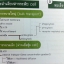 Mapping Biology Ondemand สรุปสูตรชีวะ ม.ปลาย By พี่วิเวียน