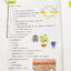 ►Bio Map Mini◄ ออนดีมานด์ พี่วิเวียน สรุปชีววิทยาฉบับพกพา มีสรุปเนื้อหาสำคัญ หนังสือพิมพ์สีทั้งเล่ม มีลำดับหัวข้อที่ชอบออกสอบบ่อยๆในข้อสอบ PAT2 มีเทคนิคลัดเยอะมาก หนังสือตีพิมพ์สมบูรณ์ทั้งเล่ม ในหนังสือมีเขียนเล็กน้อย