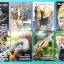 ►หมอพิชญ์ Biobeam◄ ICU A936 หนังสือเรียนชีววิทยา คอร์สไอซียู ครบเซ็ท 8 เล่ม ไฟล์จดเนื้อหาครบทั้ง 8 เล่ม + ไฟล์ชีทเสริม ในหนังสือทั้งเซ็ทจดครบ จดละเอียดมาก จดด้วยดินสอและปากกาสีสันสวยงาม มีวาดรูปประกอบเนื้อหาหลายหน้า แบบฝึกหัดมีจดเฉลยบางข้อ ยกเว้นเล่ม 6 ให