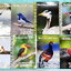 ►หมอพิชญ์ Biobeam◄ หนังสือเรียนชีววิทยา คอร์ส ICU ไอซียู ครบเซ็ท 8 เล่ม พร้อมไฟล์จดเนื้อหาครบทั้งเซ็ทแบบละเอียดมากครบทั้ง 8 เล่ม และไฟล์ชีทเสริม ในหนังสือเล่ม 1-7 จดครบเกือบทั้งเล่ม จดละเอียด ตั้งใจเรียน มีวาดภาพประกอบเนื้อหาเยอะมาก โจทย์แบบทดสอบมีจดเฉลยค